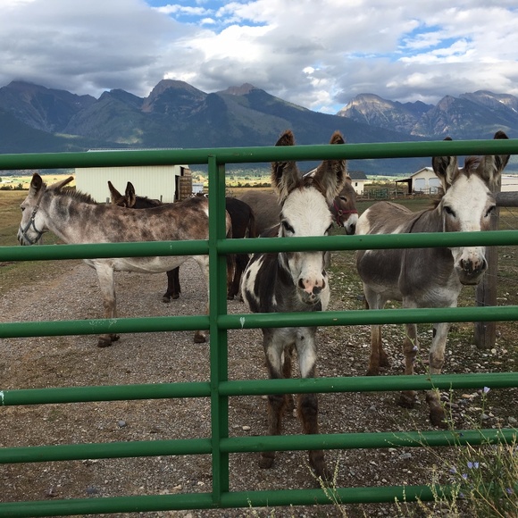 Meet your Posher, Ruth - Picture 14 of 16